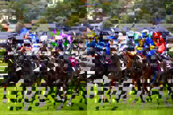A horse race