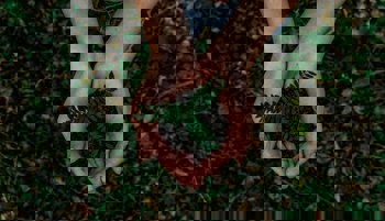 Hands holding a plant