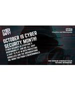 Cyber Savvy Social Media Graphics V11 (ICB)