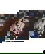 Pexels Alexasfotos 7768211