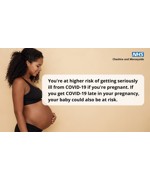 Covid Vaccine Pregnancy
